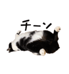 ぶちゃとなな（個別スタンプ：13）