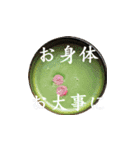 茶道スタンプ2（個別スタンプ：14）