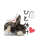 うちのWANCOちゃんs（個別スタンプ：14）