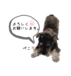 うちのWANCOちゃんs（個別スタンプ：18）