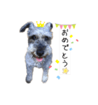 うちのWANCOちゃんs（個別スタンプ：40）