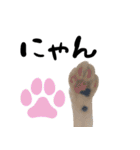 三毛猫とキジトラ（個別スタンプ：15）