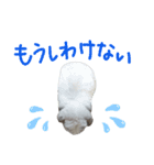 うさぎのはな  日常スタンプ2（個別スタンプ：3）