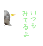 うさぎのはな  日常スタンプ2（個別スタンプ：5）