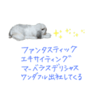 うさぎのはな  日常スタンプ2（個別スタンプ：13）
