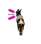 cocogram（個別スタンプ：5）