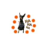 cocogram（個別スタンプ：6）