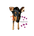cocogram（個別スタンプ：8）