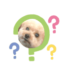 お犬様のつぶやき（個別スタンプ：3）