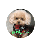 お犬様のつぶやき（個別スタンプ：6）