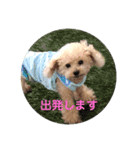 お犬様のつぶやき（個別スタンプ：7）