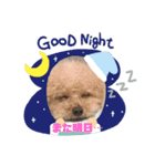 お犬様のつぶやき（個別スタンプ：8）