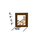 短足マンチカンくうたスタンプ（個別スタンプ：3）