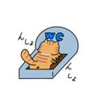 短足マンチカンくうたスタンプ（個別スタンプ：8）