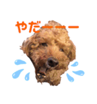愛しのチーPart2（個別スタンプ：3）
