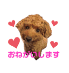 愛しのチーPart2（個別スタンプ：4）