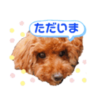 愛しのチーPart2（個別スタンプ：6）