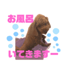 愛しのチーPart2（個別スタンプ：10）