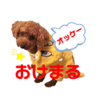 愛しのチーPart2（個別スタンプ：15）