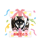 黒柴むぎ2（個別スタンプ：4）