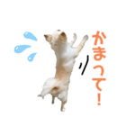 マイキーと愉快な仲間たち（個別スタンプ：1）
