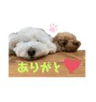 マイキーと愉快な仲間たち（個別スタンプ：12）