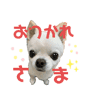 マイキーと愉快な仲間たち（個別スタンプ：13）