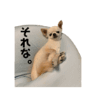 マイキーと愉快な仲間たち（個別スタンプ：14）