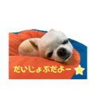 マイキーと愉快な仲間たち（個別スタンプ：15）