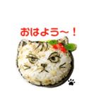 毎日にゃんこなおにぎり（個別スタンプ：1）