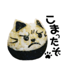毎日にゃんこなおにぎり（個別スタンプ：7）