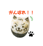 毎日にゃんこなおにぎり（個別スタンプ：8）