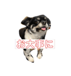 うめあんスタンプ（個別スタンプ：12）