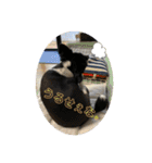 うめあんスタンプ（個別スタンプ：19）