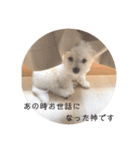 テン様、現る（個別スタンプ：5）
