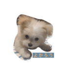 テン様、現る（個別スタンプ：6）