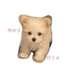 テン様、現る（個別スタンプ：7）