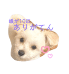 テン様、現る（個別スタンプ：8）
