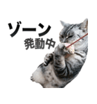 アメショの一朗（個別スタンプ：8）