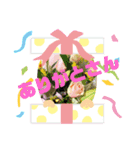 関西弁夏挨拶（個別スタンプ：1）
