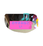 仲良しキャットファミリー13（個別スタンプ：7）