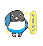 ボタンインコのクゥちゃん（個別スタンプ：3）