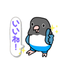 ボタンインコのクゥちゃん（個別スタンプ：10）