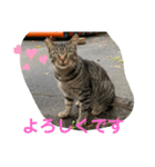 男前きぃちゃん（個別スタンプ：4）