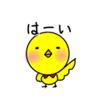 垂れ耳ヨーキー小太郎（個別スタンプ：1）