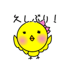 垂れ耳ヨーキー小太郎（個別スタンプ：2）