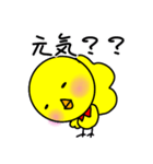 垂れ耳ヨーキー小太郎（個別スタンプ：3）