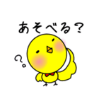垂れ耳ヨーキー小太郎（個別スタンプ：4）