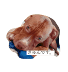 ぼく、JAKE（個別スタンプ：4）
