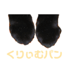 ガスとマクロと時々ヒビスズ（個別スタンプ：15）